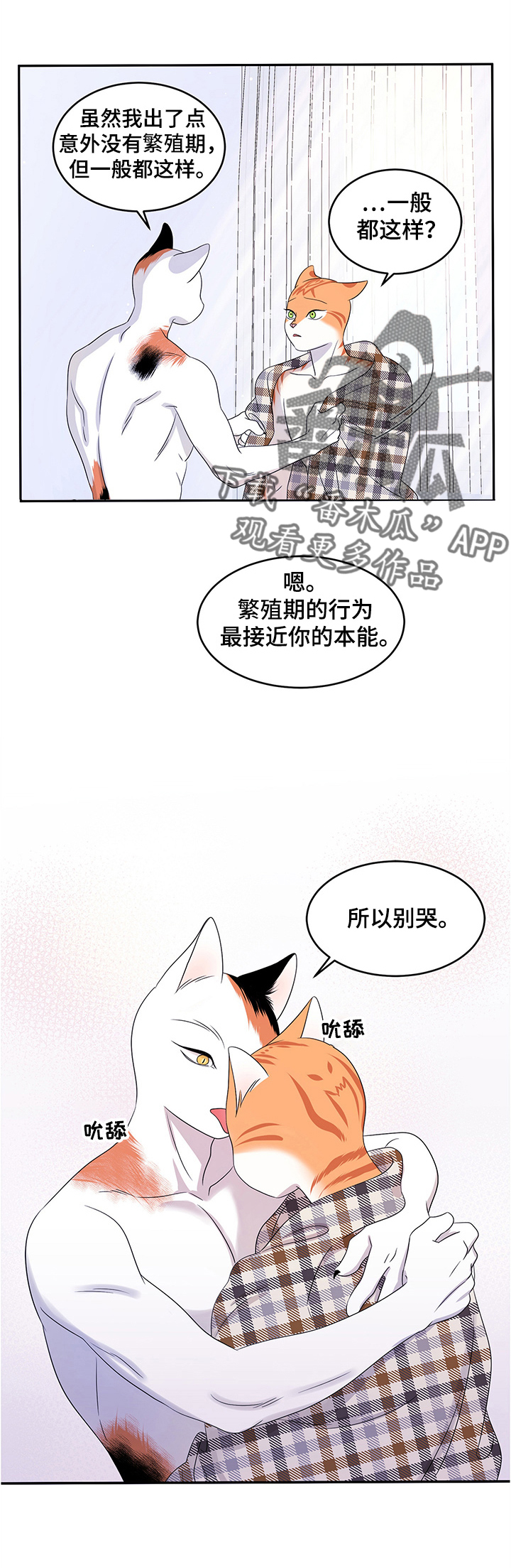 灵猫欧米伽吻戏完整版漫画,第8章：你醒了3图