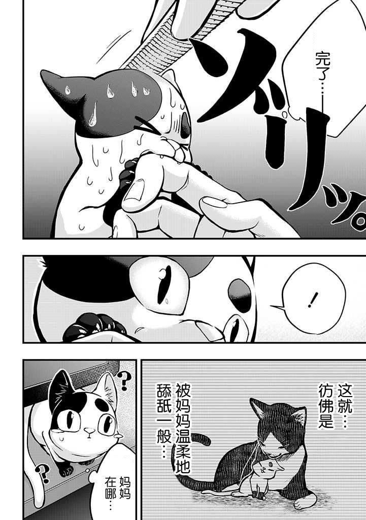 被遗弃的小猫咪与原黑道漫画,第3话5图