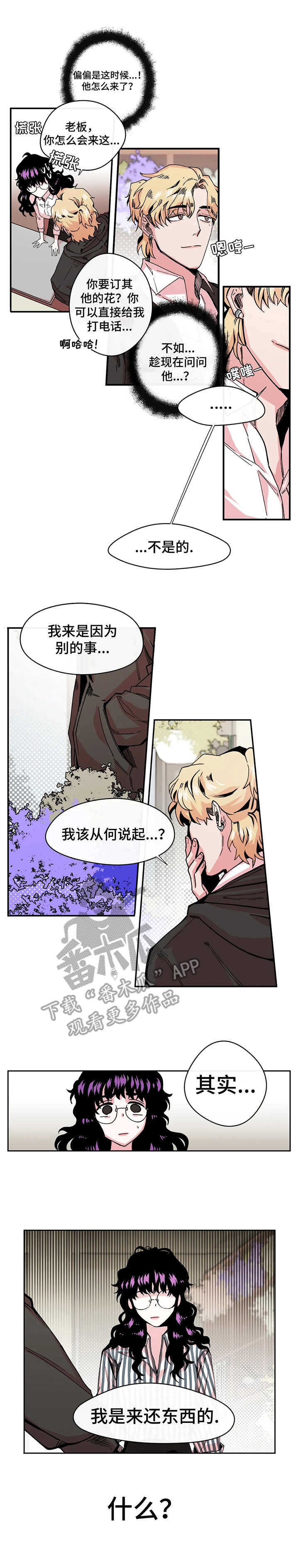 刺玫瑰漫画,第8章：双胞胎1图