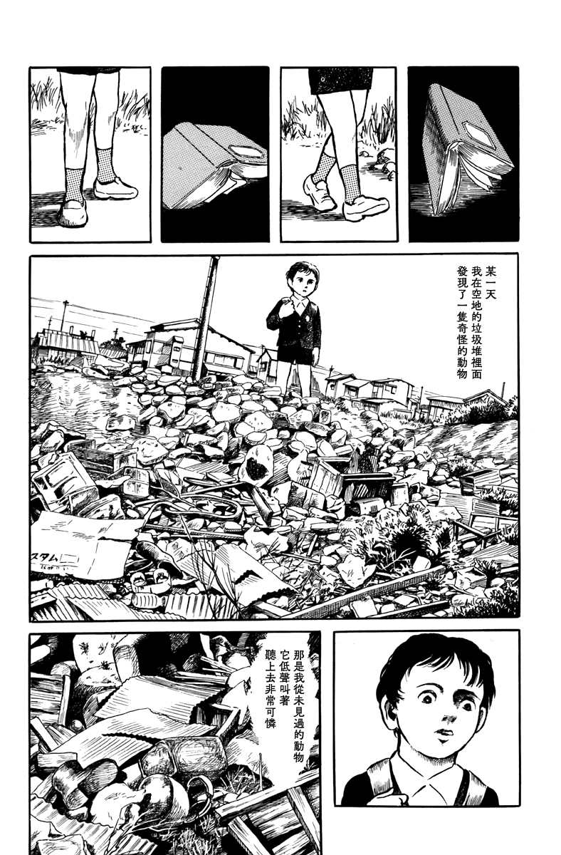 诸星大二郎阿朽漫画,袋中黑影1图