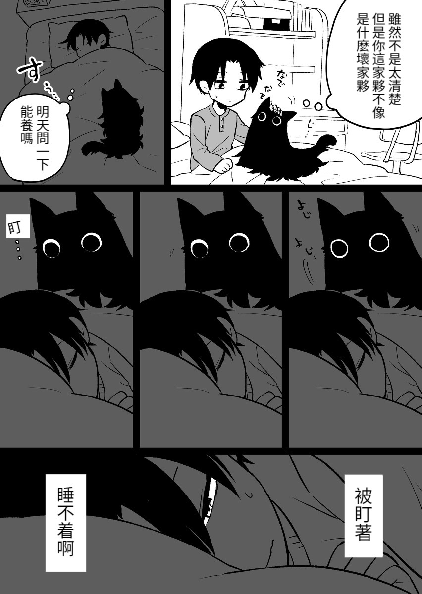 这是小猫吗漫画,第1话5图