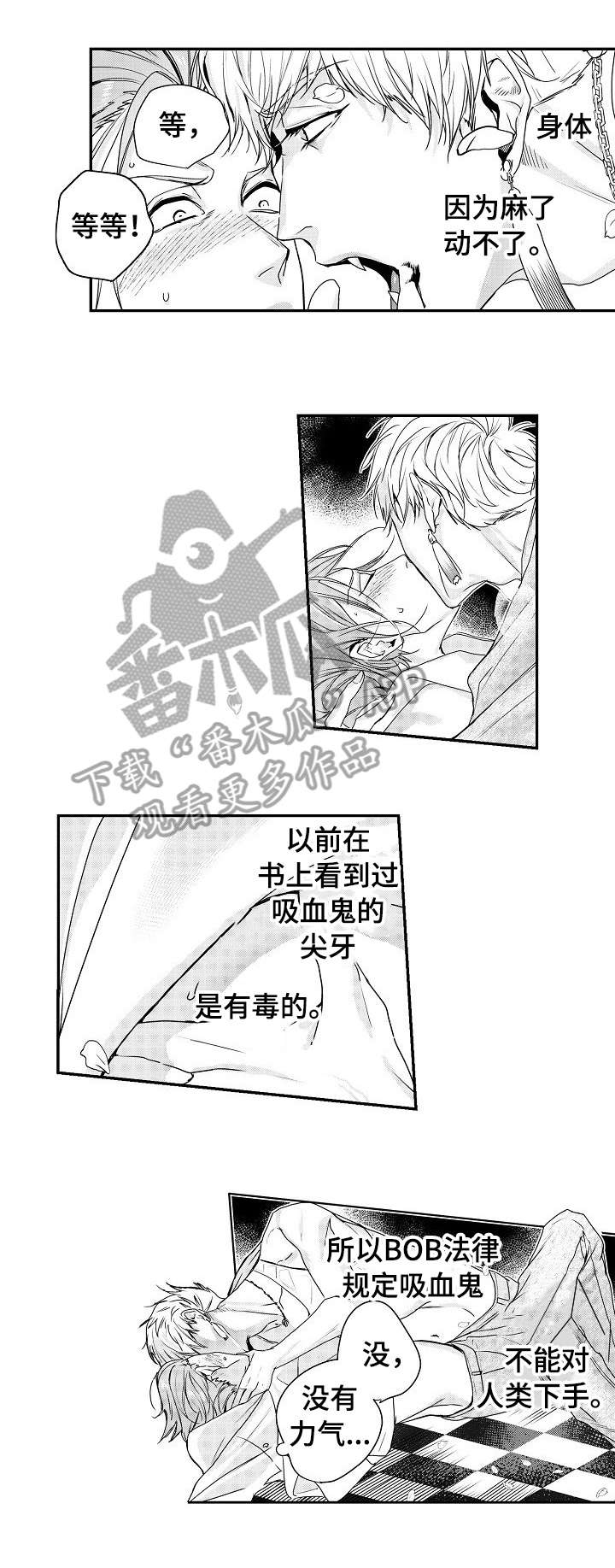 bob世界漫画,第5章：吸血鬼1图