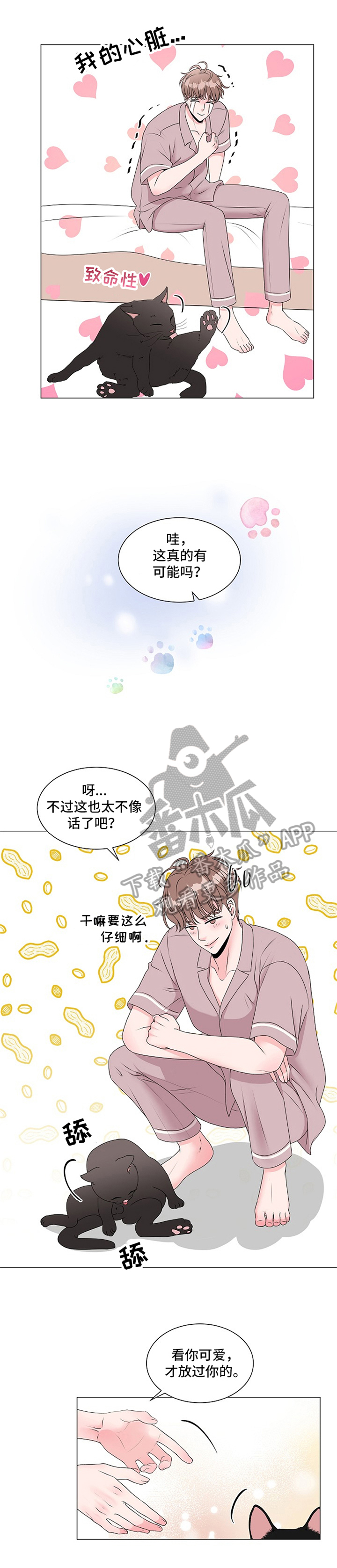 猫猫初体验漫画全集解说漫画,第8章：完全体3图