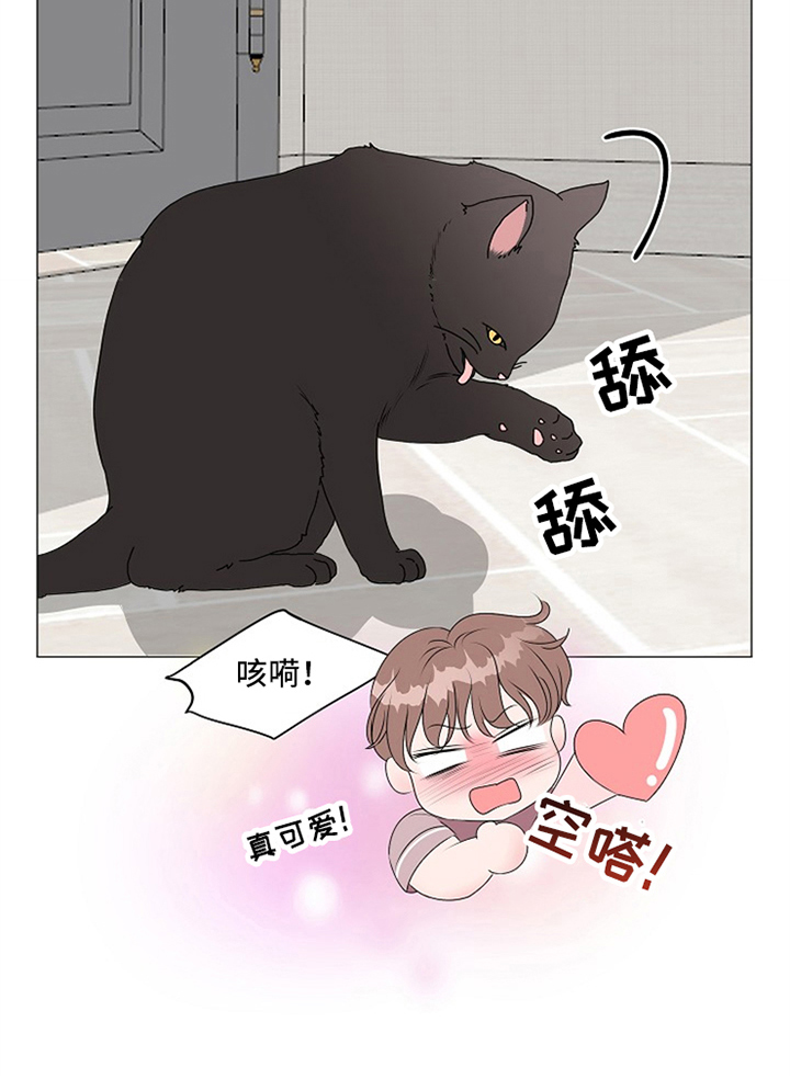 猫猫初体验漫画全集解说漫画,第8章：完全体2图