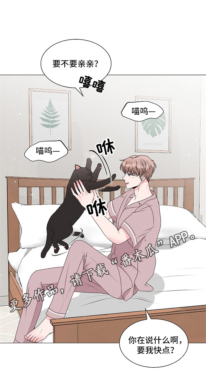 猫猫初体验漫画全集解说漫画,第8章：完全体5图