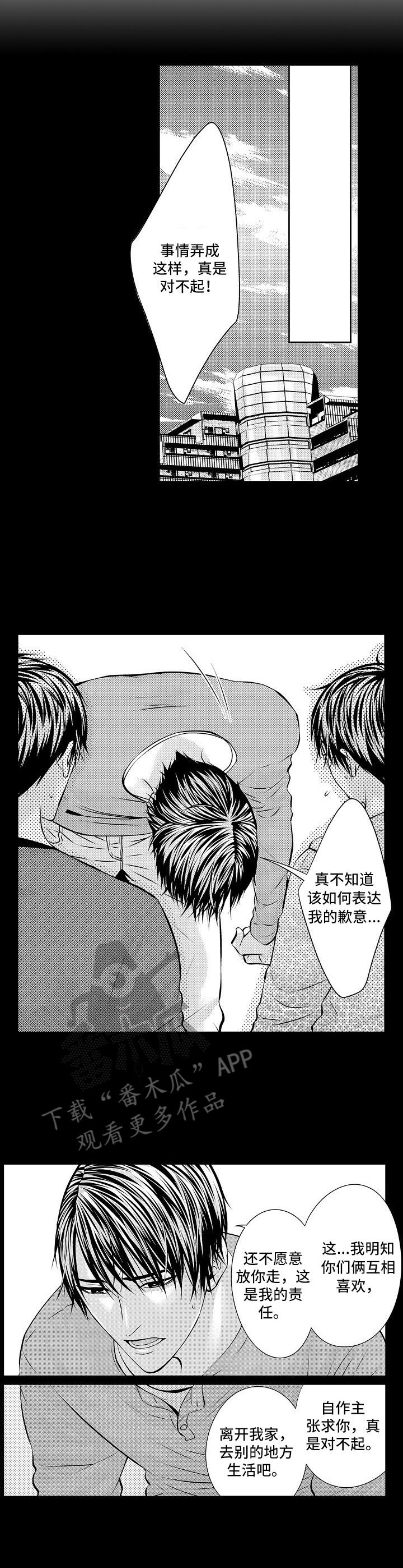 金三角友谊漫画,第9章：远走高飞3图