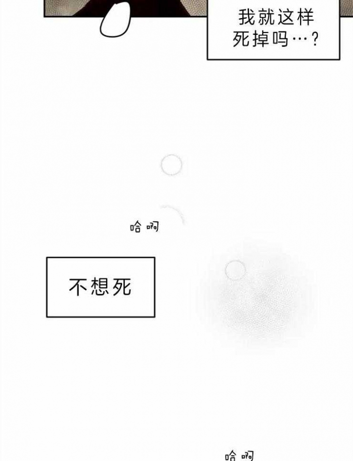 血之诅咒漫画免费未删除版漫画,第1话2图