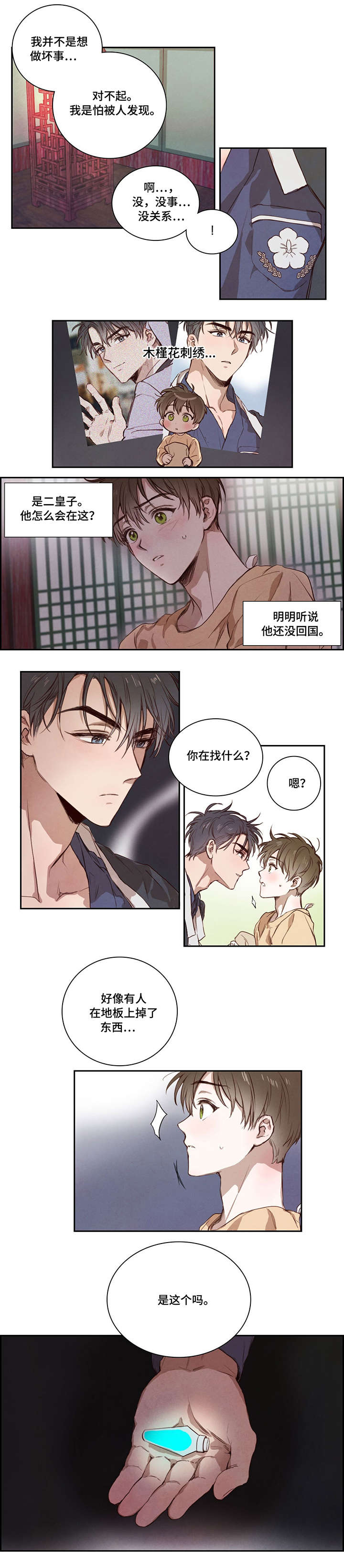 柳树下的浪漫解说漫画,第4章：木槿花4图