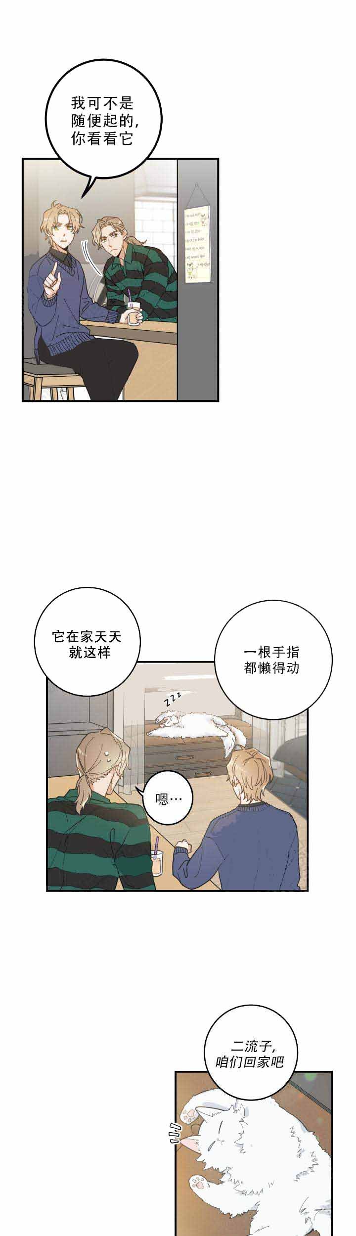 我唯一的猫猫漫画,第12话5图