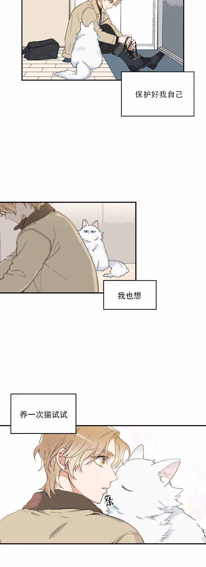 我唯一的猫猫漫画,第12话4图