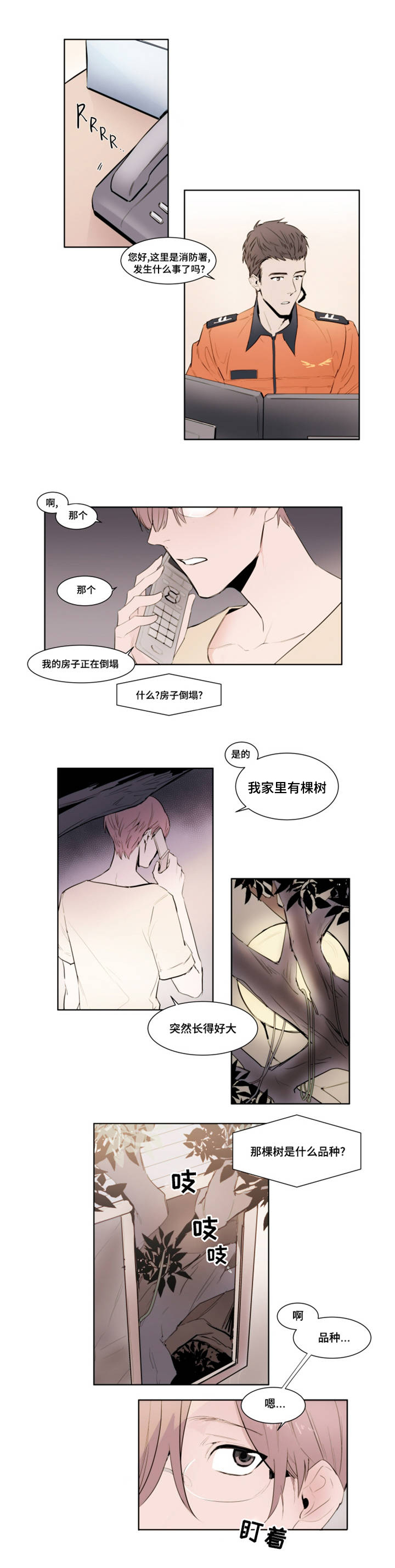 植物效应无删除下拉免费漫画,第1章：报警3图