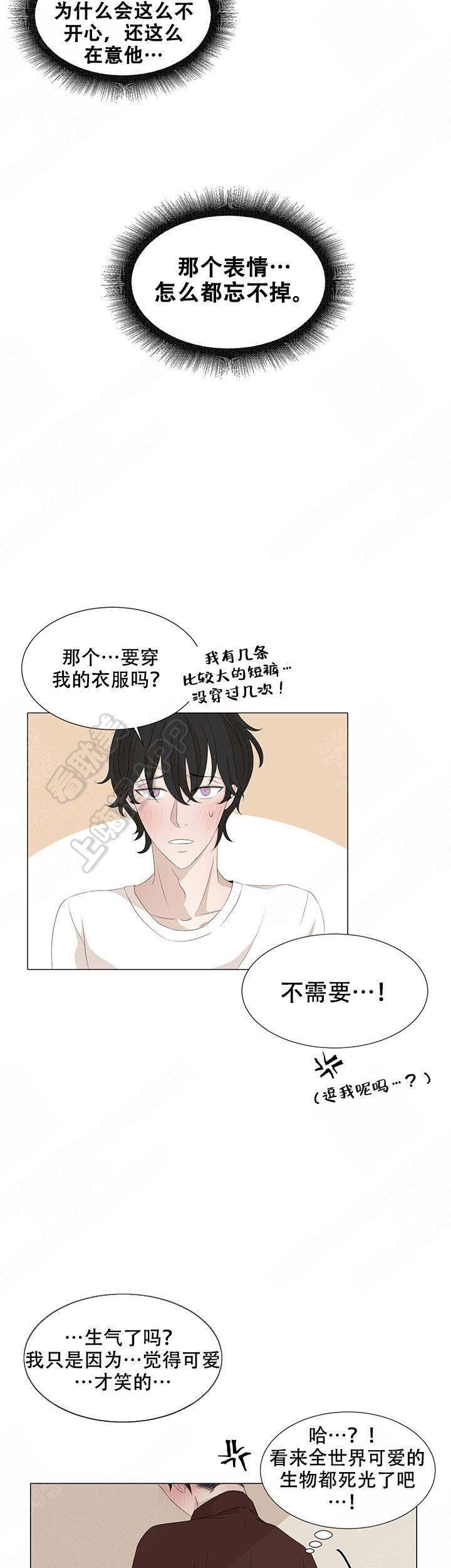 黑豆绿豆赤小豆的功效与作用漫画,第10话4图