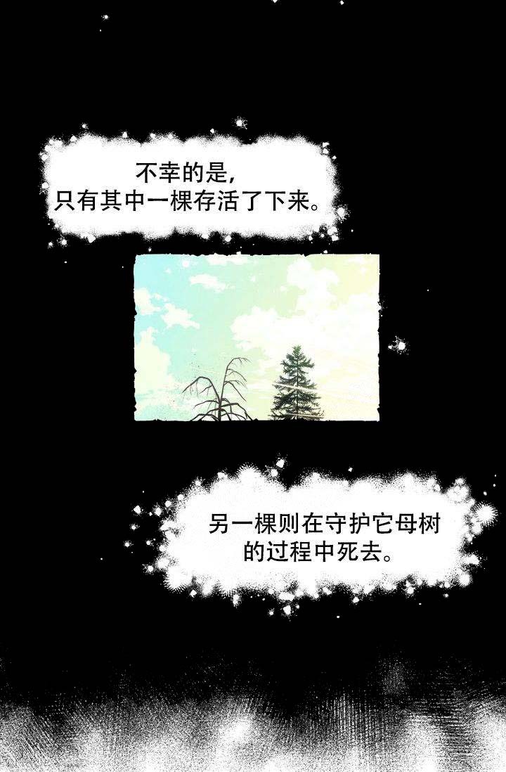 奋不顾身爱上你漫画,第1话3图