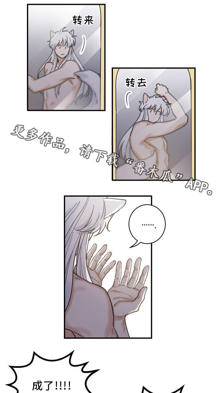 亲爱的喵君漫画,第3章：梦4图