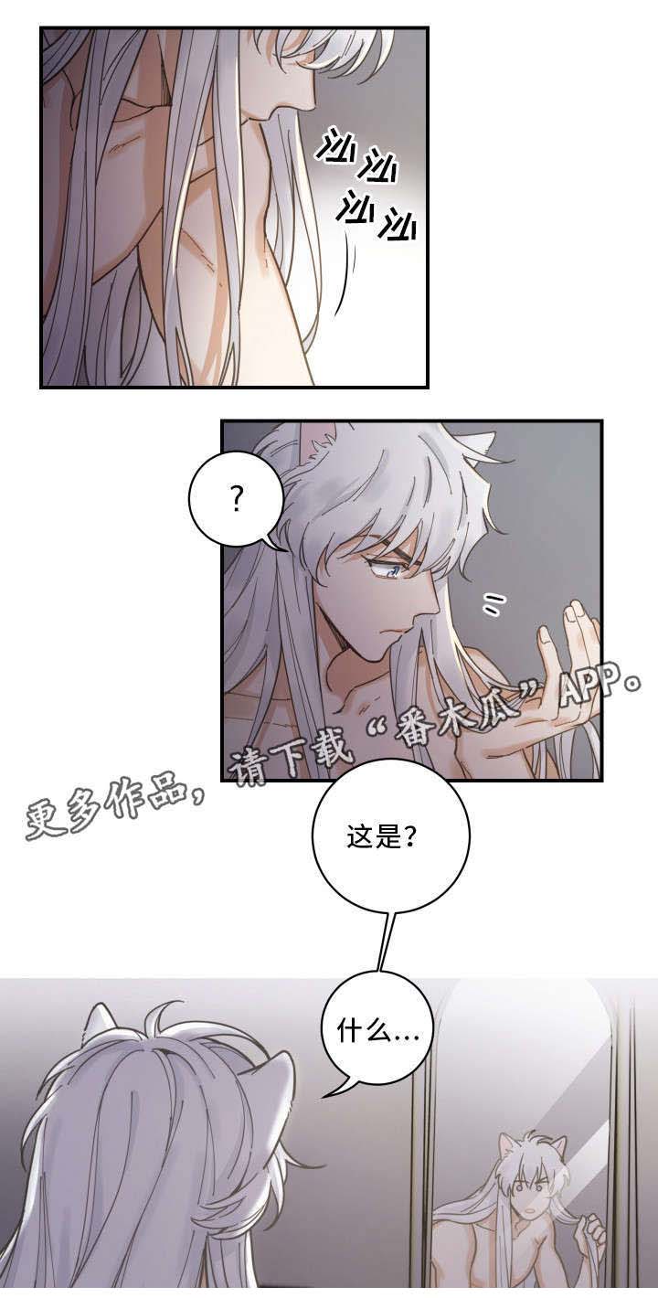 亲爱的喵君漫画免费第四话漫画,第3章：梦2图