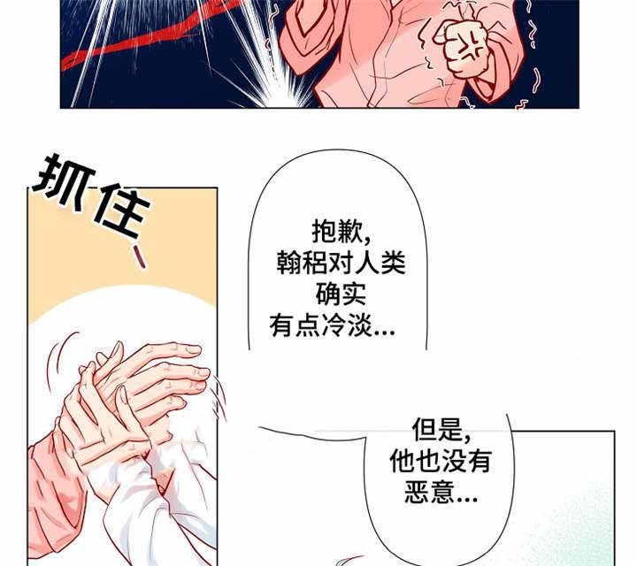 幻兽爱合成漫画,第11话5图