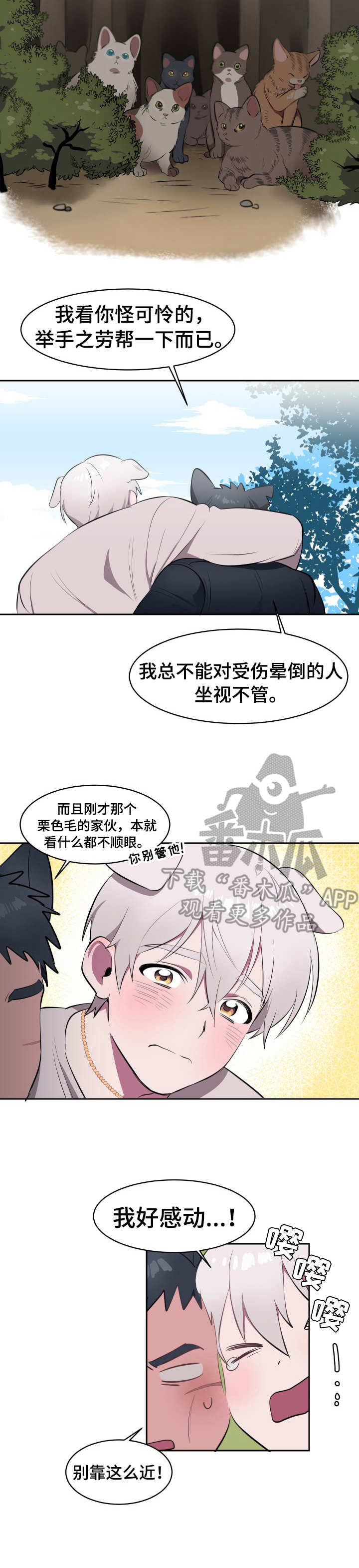 阿旺双色球最新推荐漫画,第2章：收留3图