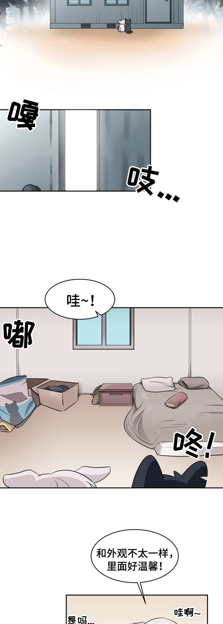 阿旺视频最新漫画,第2章：收留1图