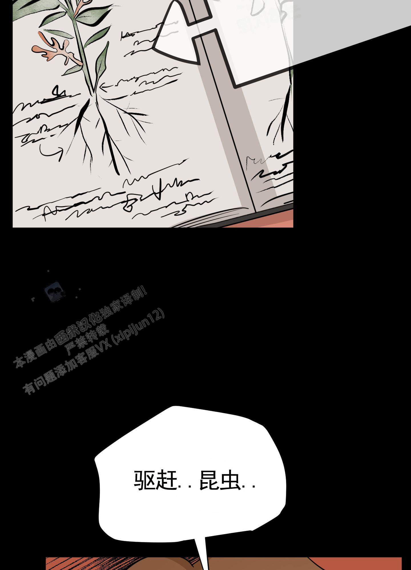 无名之花漫画,第4话5图