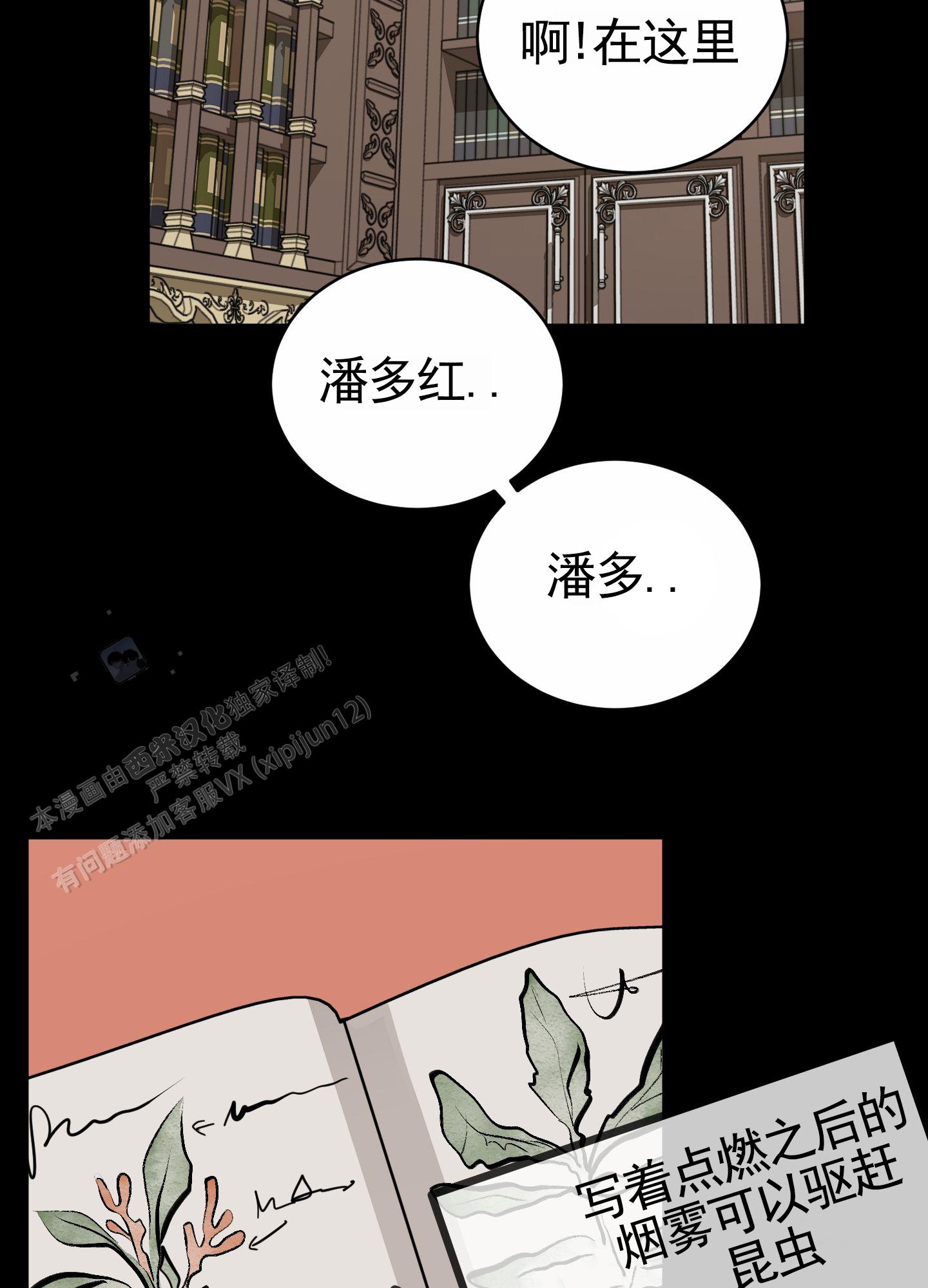 无名之花漫画,第4话4图