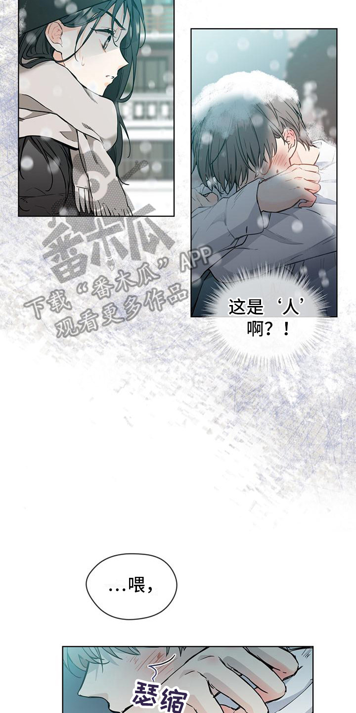 三花和黑白德文哪个好漫画,第4话2图