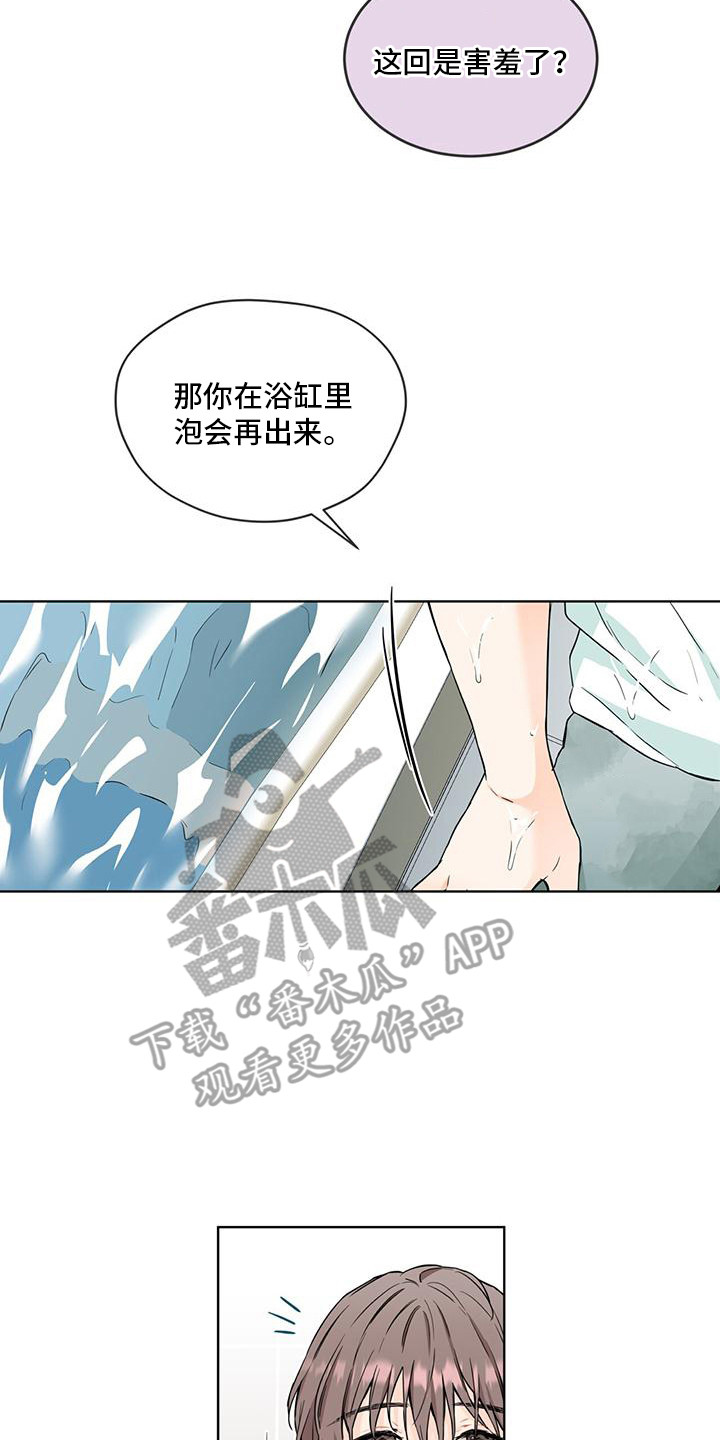 长得像老鼠的猫咪三花漫画,第6话4图