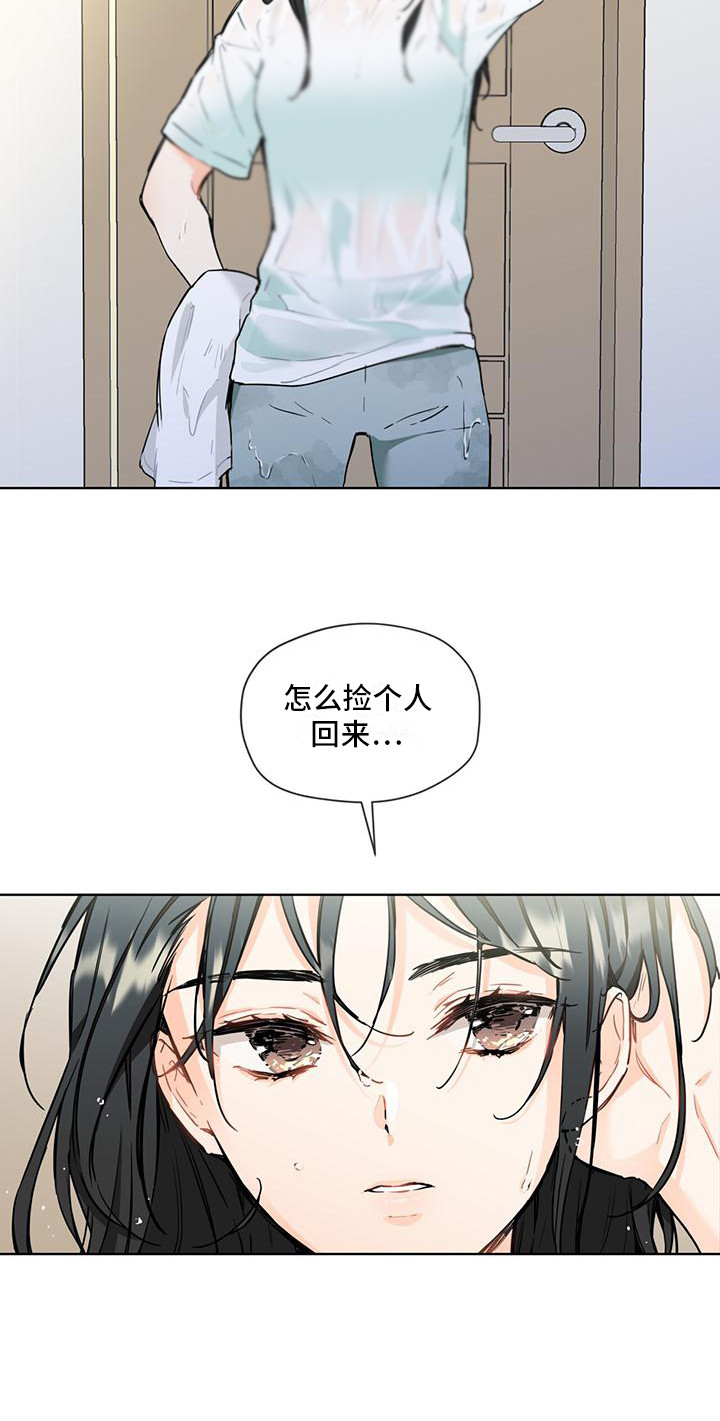 长得像老鼠的猫咪三花漫画,第6话3图