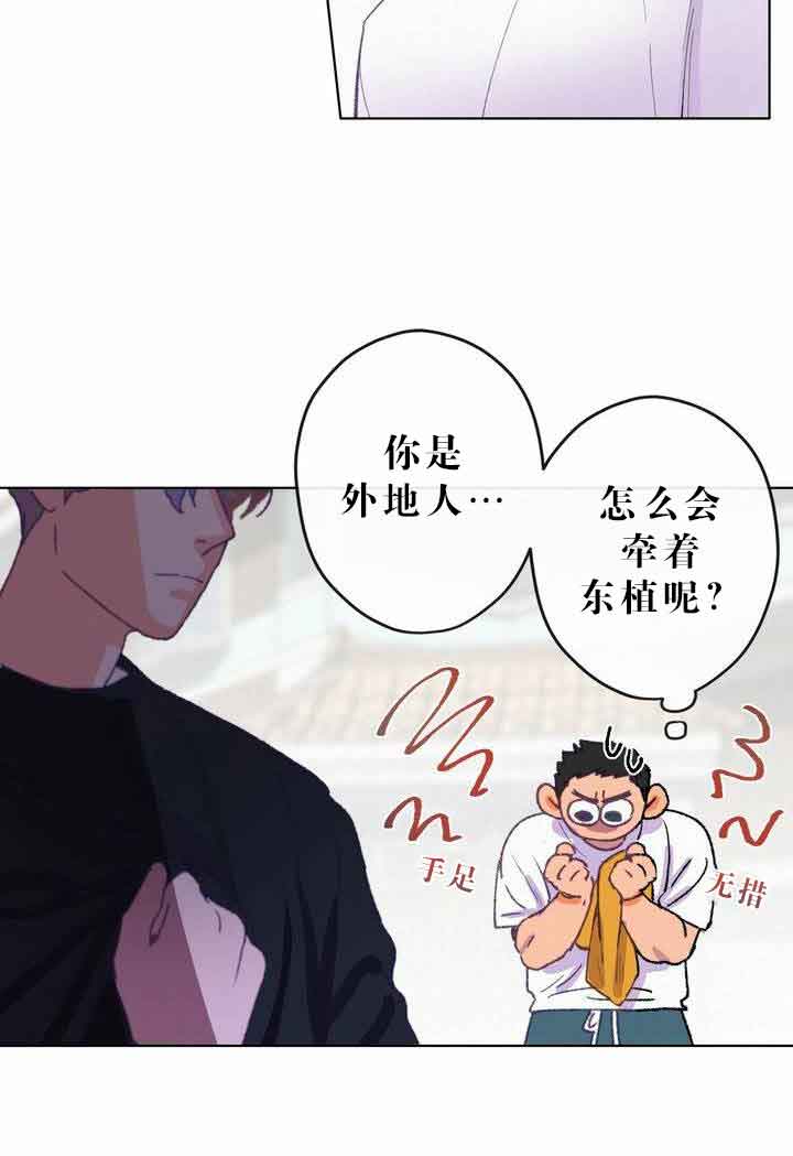 恋与拖拉机少年漫画,第6话3图