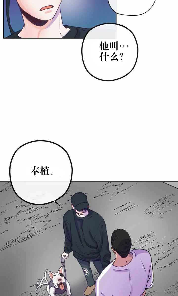 恋与拖拉机少年漫画,第6话5图