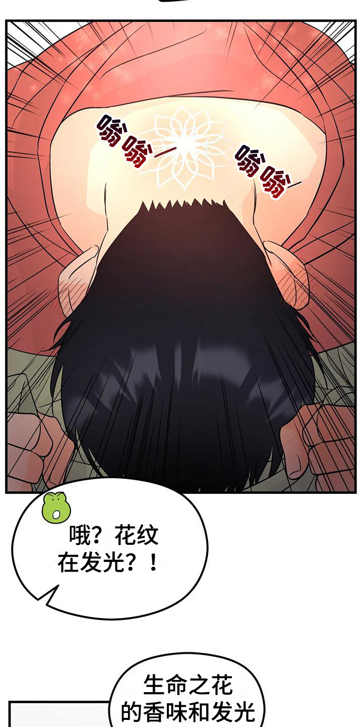 神仙姐姐3d断组推荐漫画,第10话2图