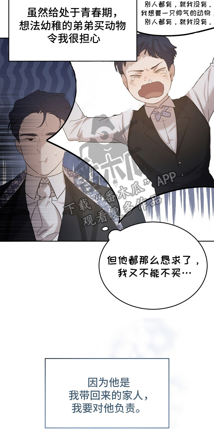 白鸟奇遇记画涯的背景故事漫画,第7话5图