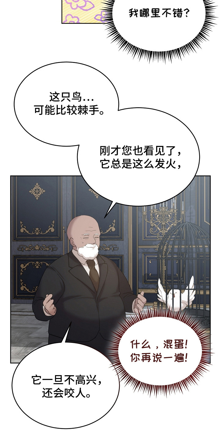 白鸟奇遇记漫画漫画,第9话5图