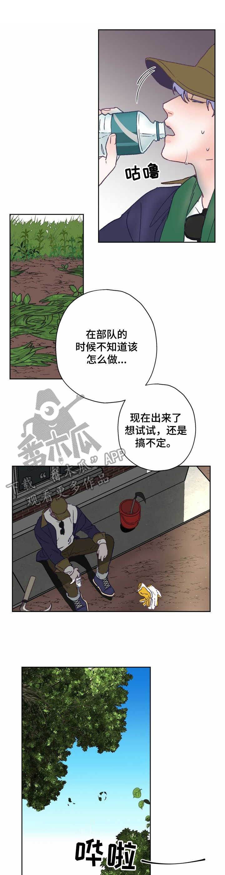 乡野旋律by漫画,第8章：除草5图