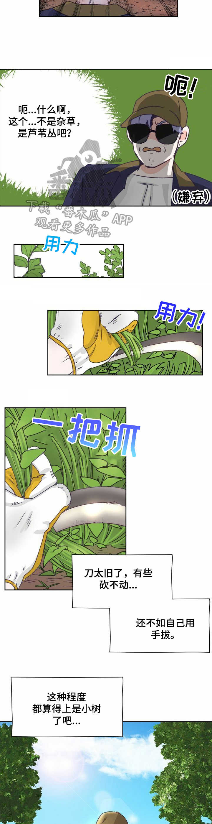 乡野旋律by漫画,第8章：除草3图