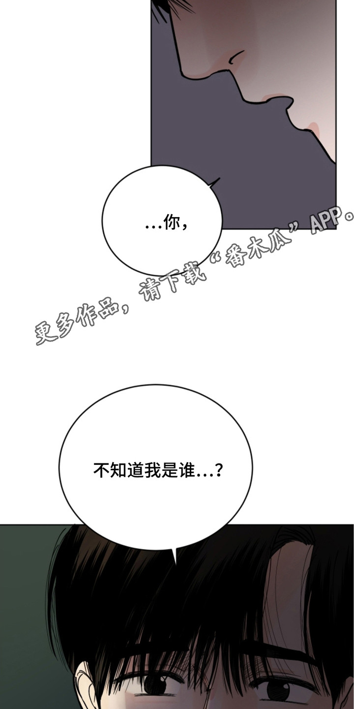 狩猎虎鲸漫画,第10话5图