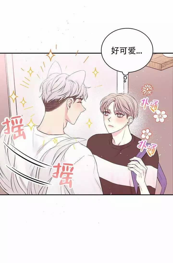 凯旋布拉德皮特漫画,第1话5图