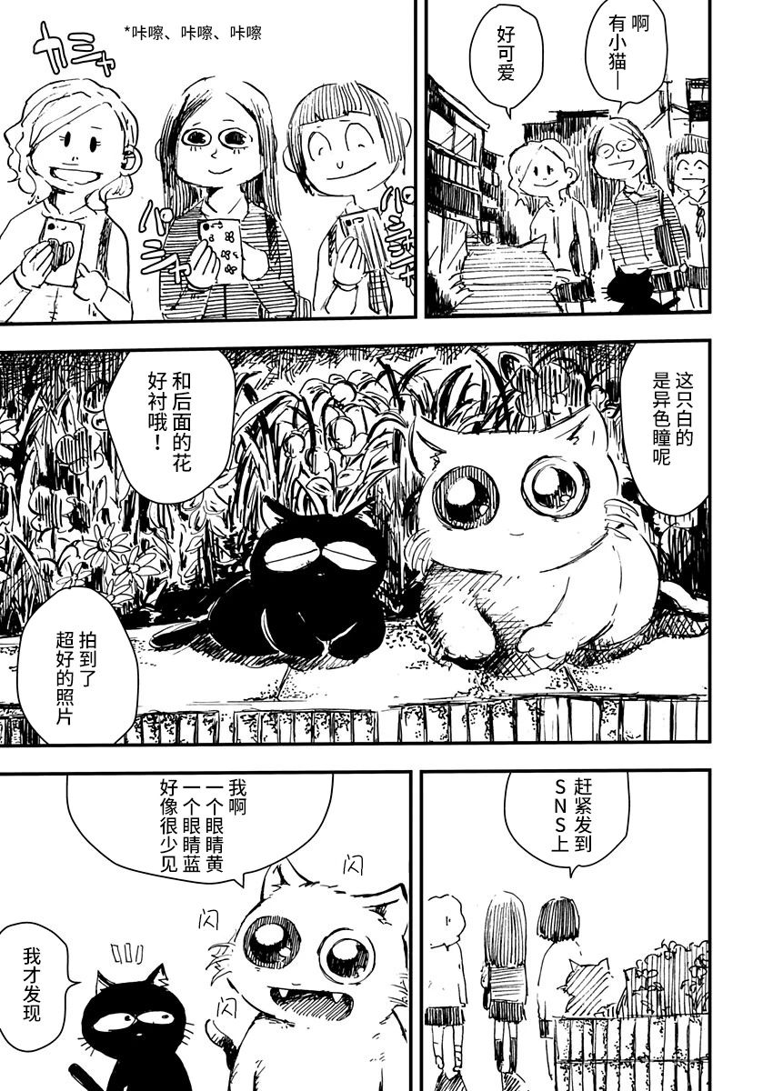 黑猫小小的一生漫画,第3话3图