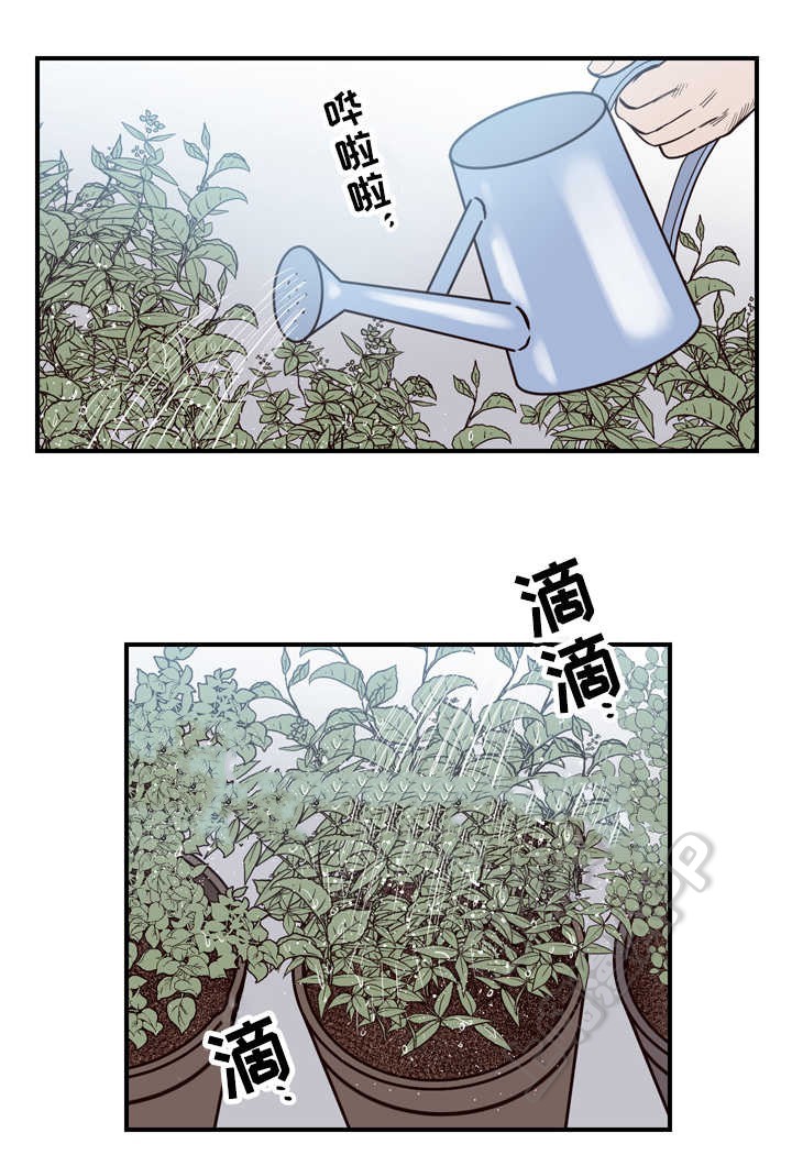 交叉线和直连线的区别漫画,第12话1图