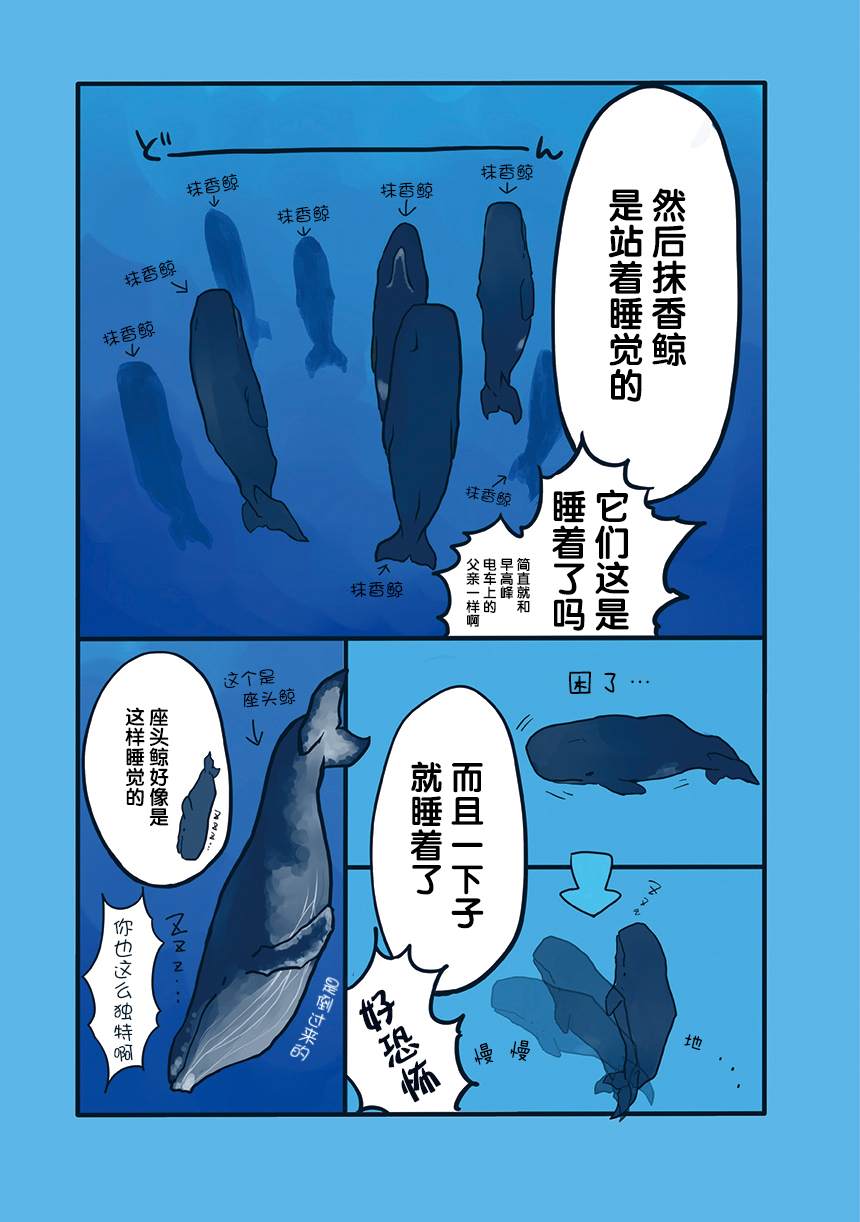 海洋动物太可爱了!漫画,第7话2图