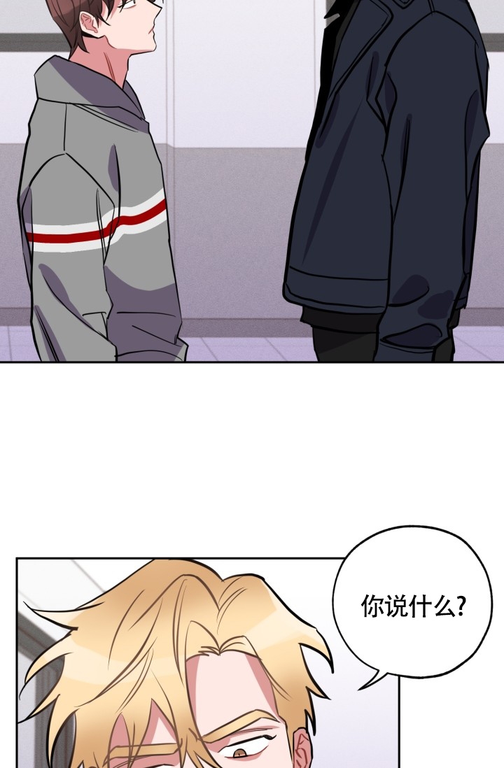 爱情证书歌词表达什么意思漫画,第1话1图