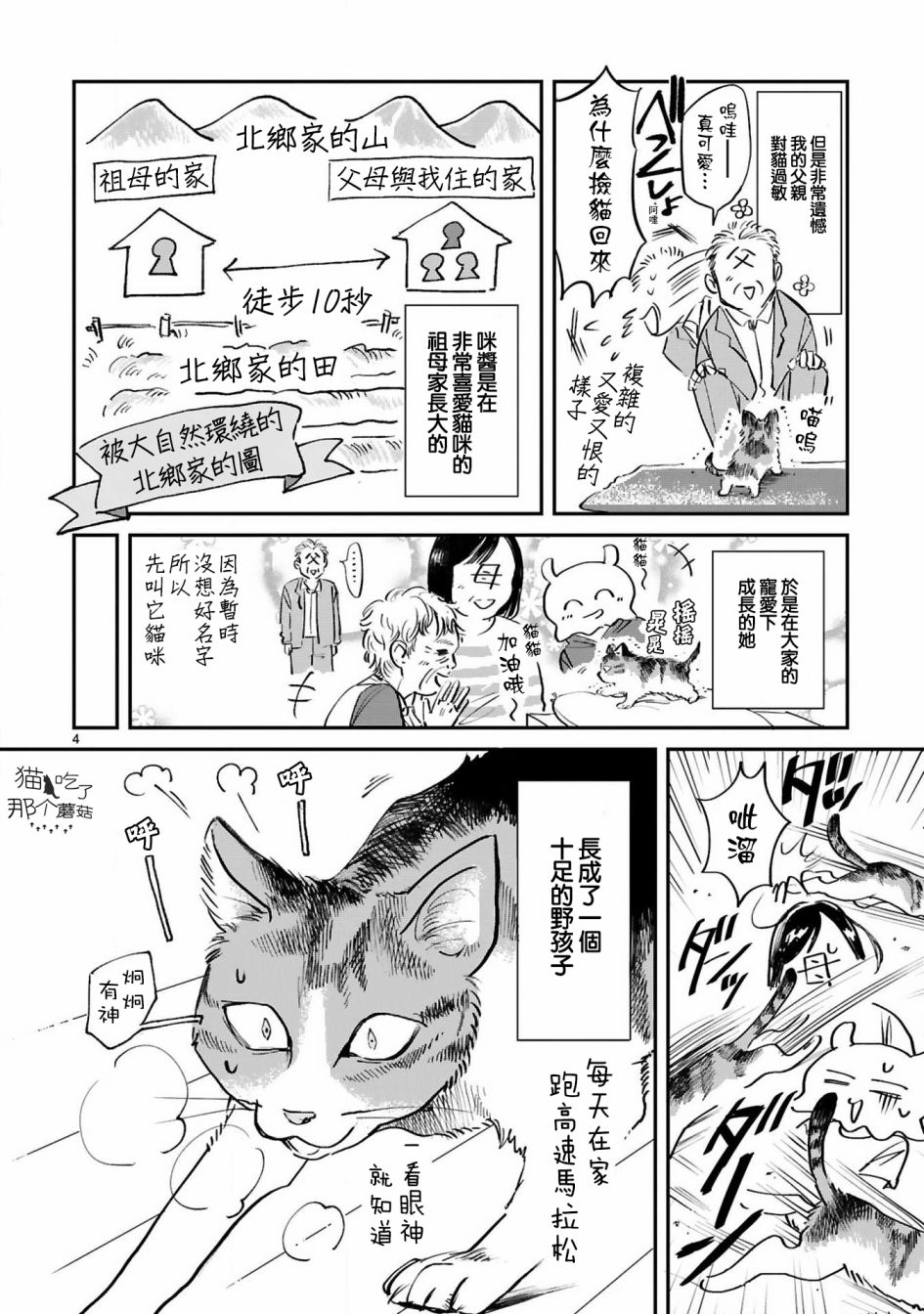 全世猫漫画,第8话5图