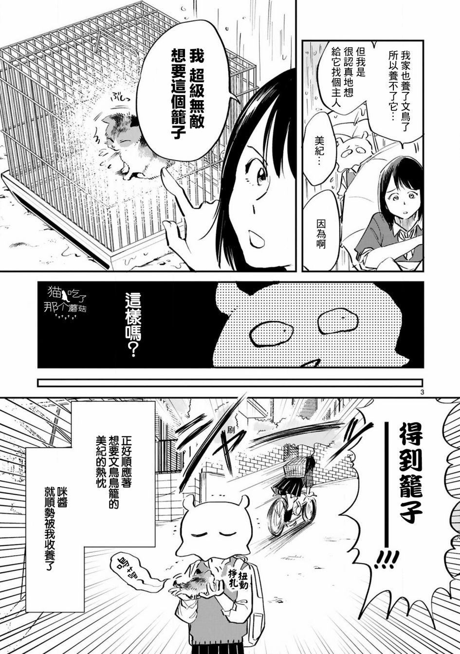 全世猫漫画,第8话4图