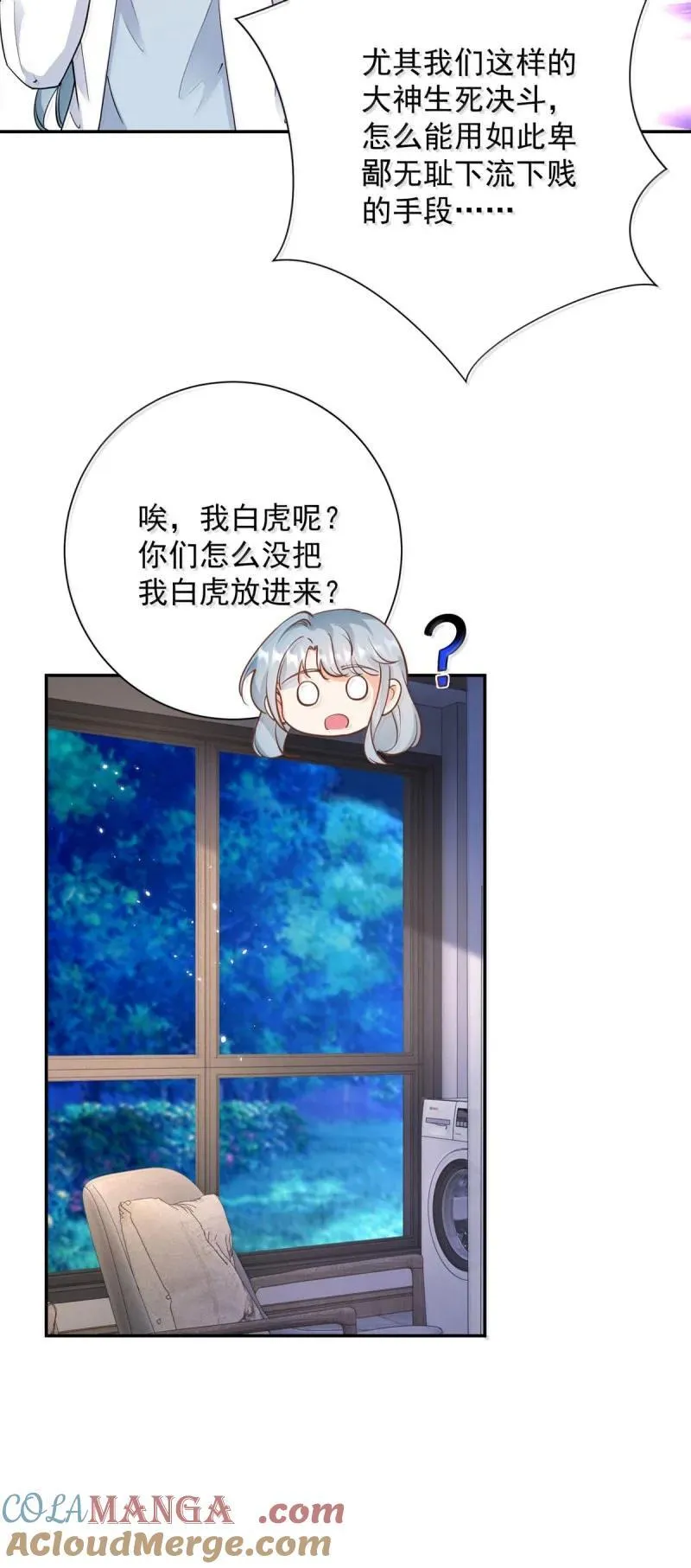 许你万丈光芒好小说全本免费阅读笔趣阁漫画,402 第395话 白虎2图