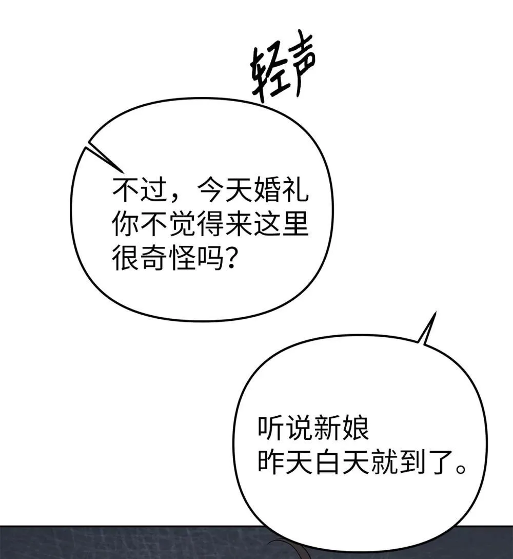 星期天的病人全文免费阅读笔趣阁漫画,51 结婚典礼5图