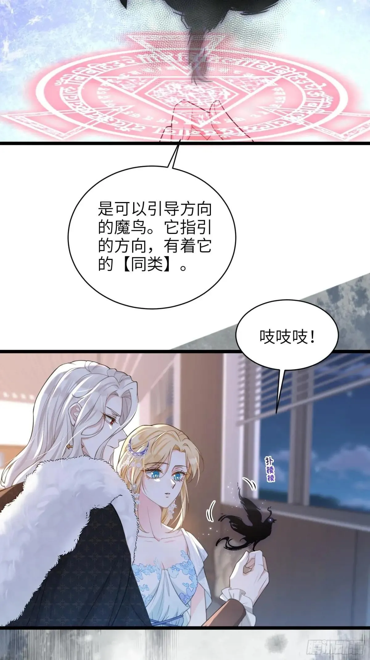 寡妇王妃漫画,66 玛歌的宠物4图