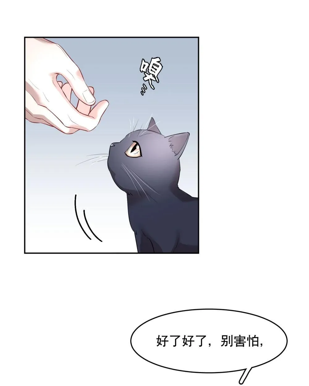 飞鸥不下漫画,第97章 “故猫”5图