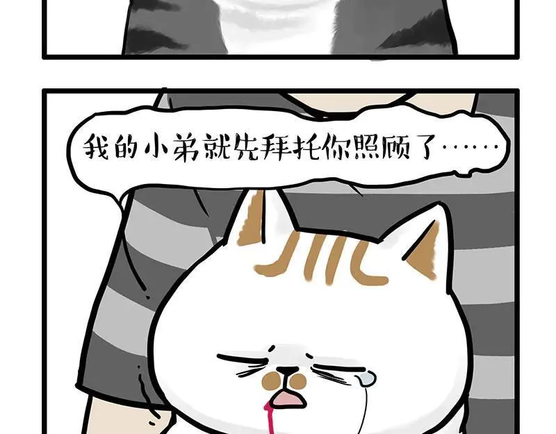 吾皇巴扎黑老爹的花瓶漫画,第440话 不要开这种玩笑5图