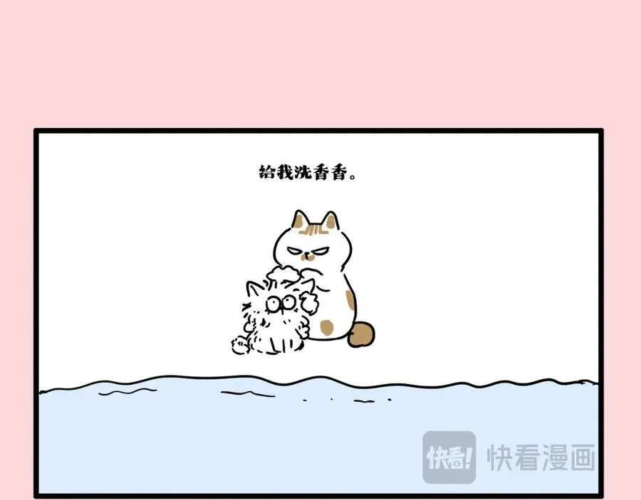 吾皇巴扎黑简介漫画,第413话 如果要离别2图