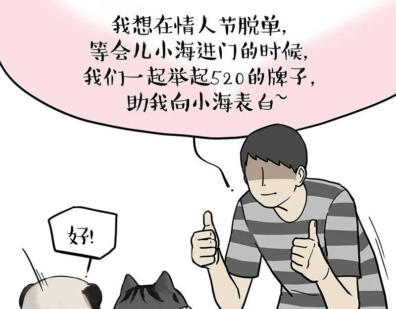 吾皇巴扎黑漫画,第366话 情人节，略过2图