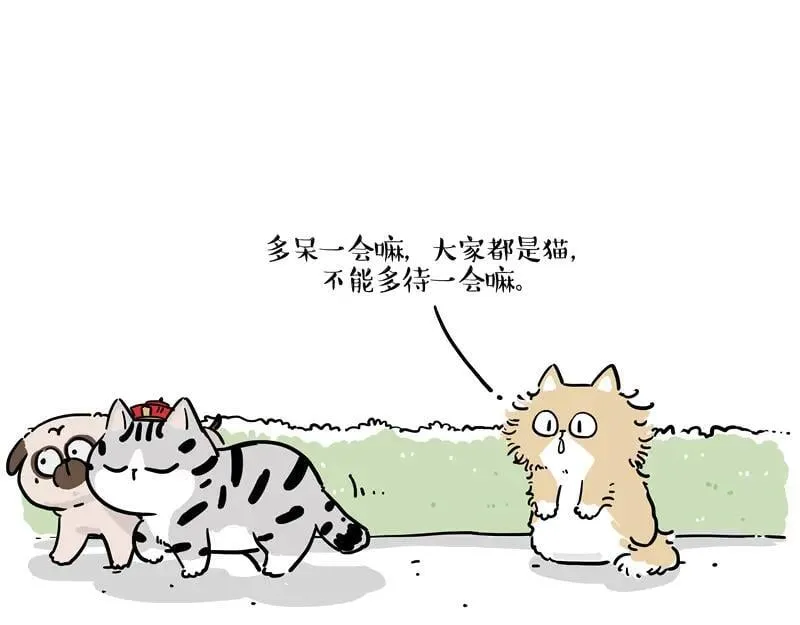 第424话 话痨小猫3